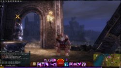 Evincio - Level 80 - Guild Wars 2